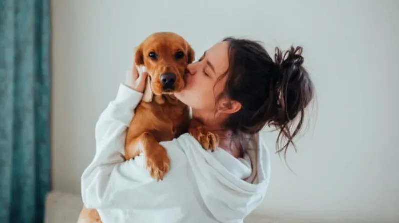 Với người đang trải qua cảm giác cô đơn hoặc căng thẳng, hình ảnh chó vàng quấn quýt có thể phản ánh nhu cầu được quan tâm, an toàn và kết nối cảm xúc.